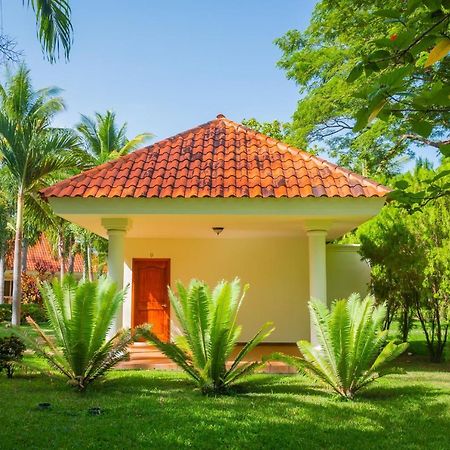 Pato Canales Hotel & Resort San Luis Eksteriør billede